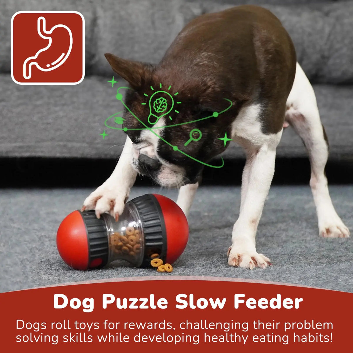 Interactive Slow Feeder Dog Toy — Snack Dispensing Puzzle Ball