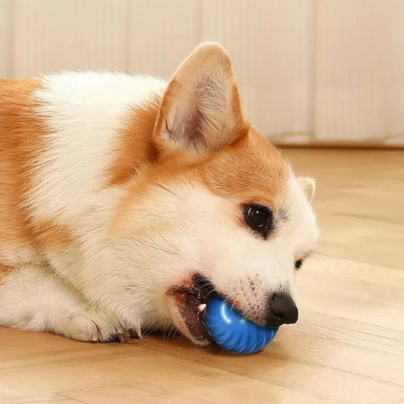 Smart Jumping Dog Ball- USB Rechargeable Interactive chew toy