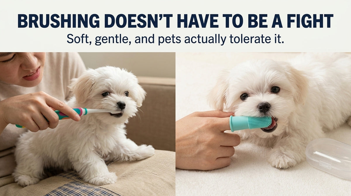 Silicone Finger Toothbrush for Cats & Dogs — 360° Pet Teeth Cleaner