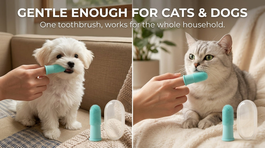 Silicone Finger Toothbrush for Cats & Dogs — 360° Pet Teeth Cleaner
