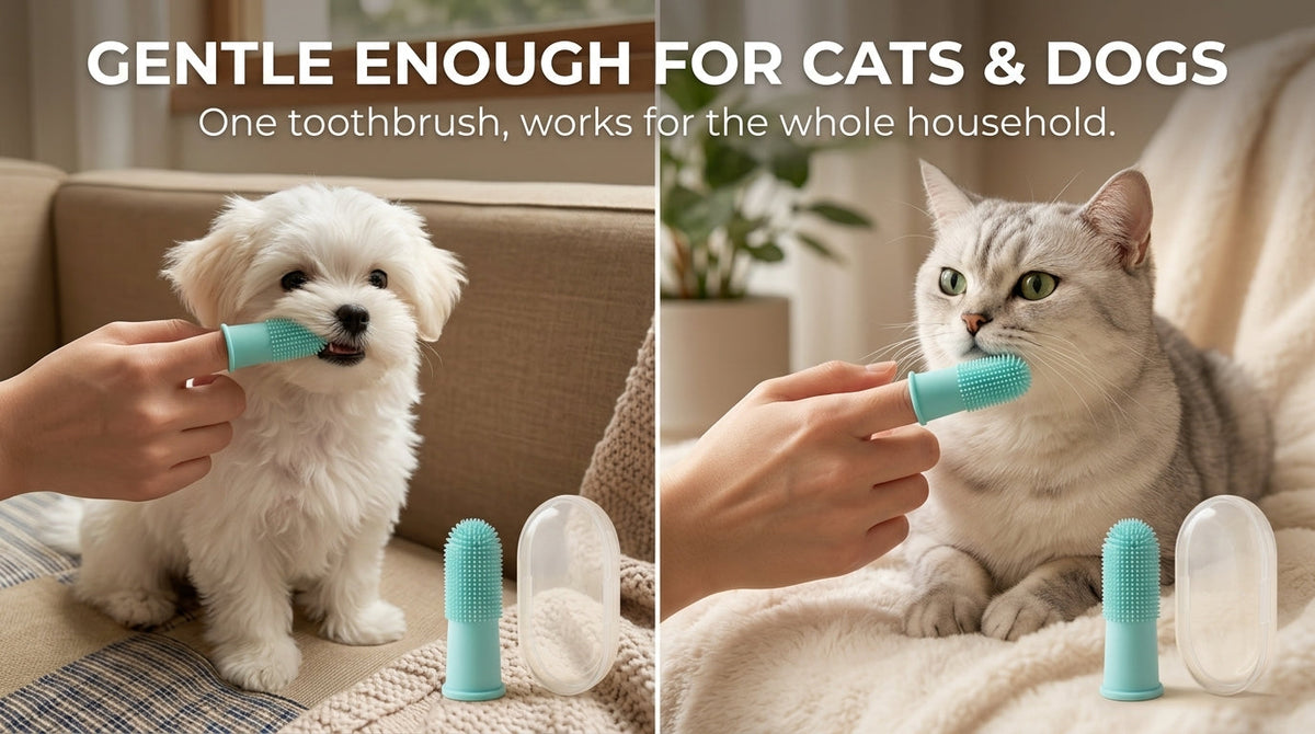 Silicone Finger Toothbrush for Cats & Dogs — 360° Pet Teeth Cleaner