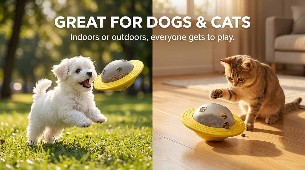 2-in-1 Flying Disc food Dispenser — Interactive Dog & Cat Puzzle Toy